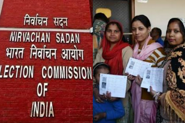 Collage Frame Pro_20202132130385