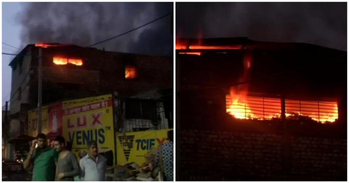 WhatsApp Image 2021-02-27 at 1.13.53 PM (1)