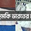 পাকিস্তানের নয়া চাল! ভারতীয় নিরাপত্তা বাহিনীর হাতে বার্তাবাহী পায়রা