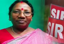 ফর্ম বিলি করতে গিয়ে ব্রেন স্ট্রোক! SIR-আতঙ্কে মৃত্যু এবার BLO-র