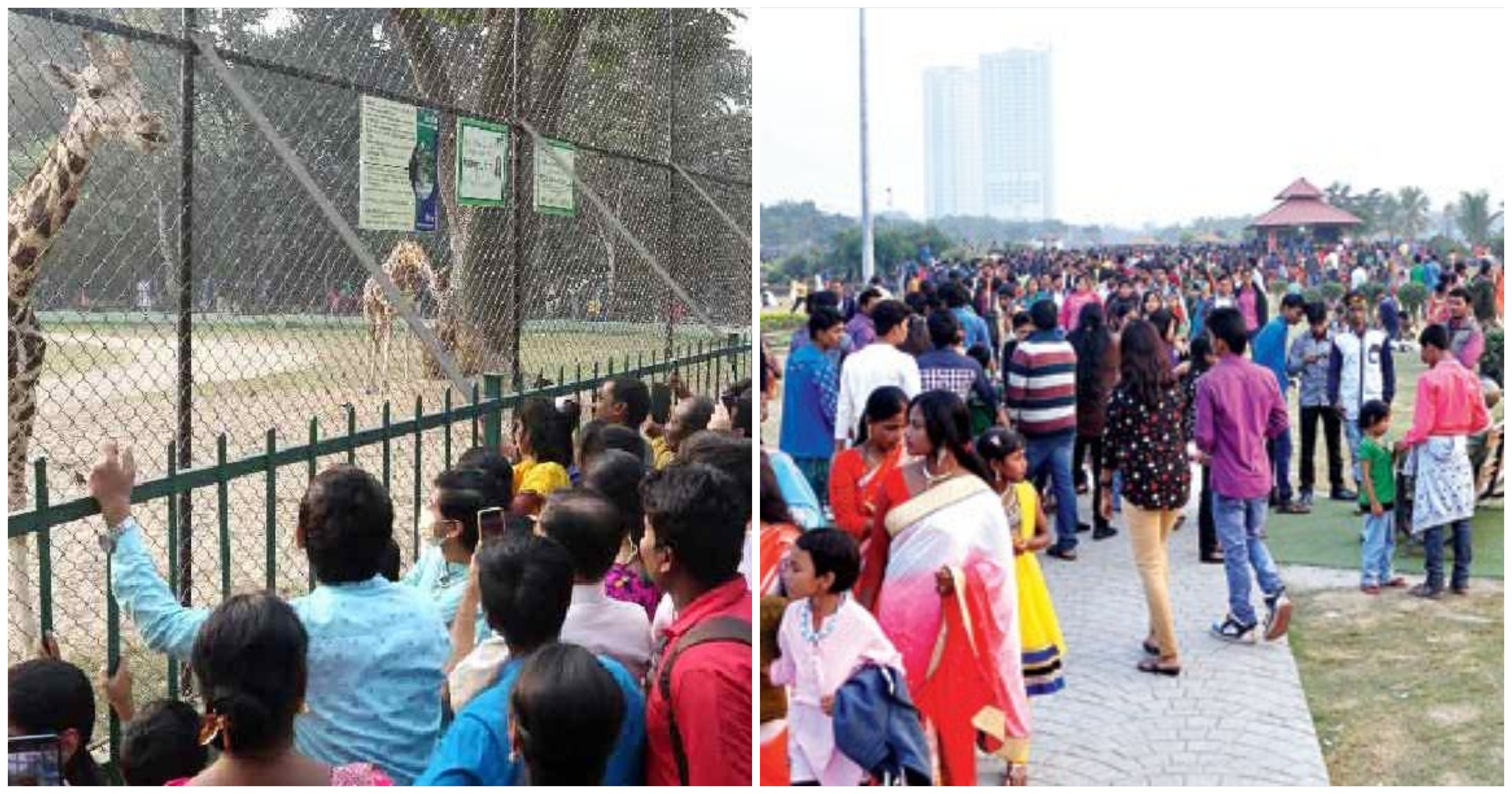 নতুন বছরের পয়লা দিনে 'ফার্স্ট বয়' ইকোপার্ক, পর্যটকদের ভিড়ে দ্বিতীয় স্থান চিড়িয়াখানার