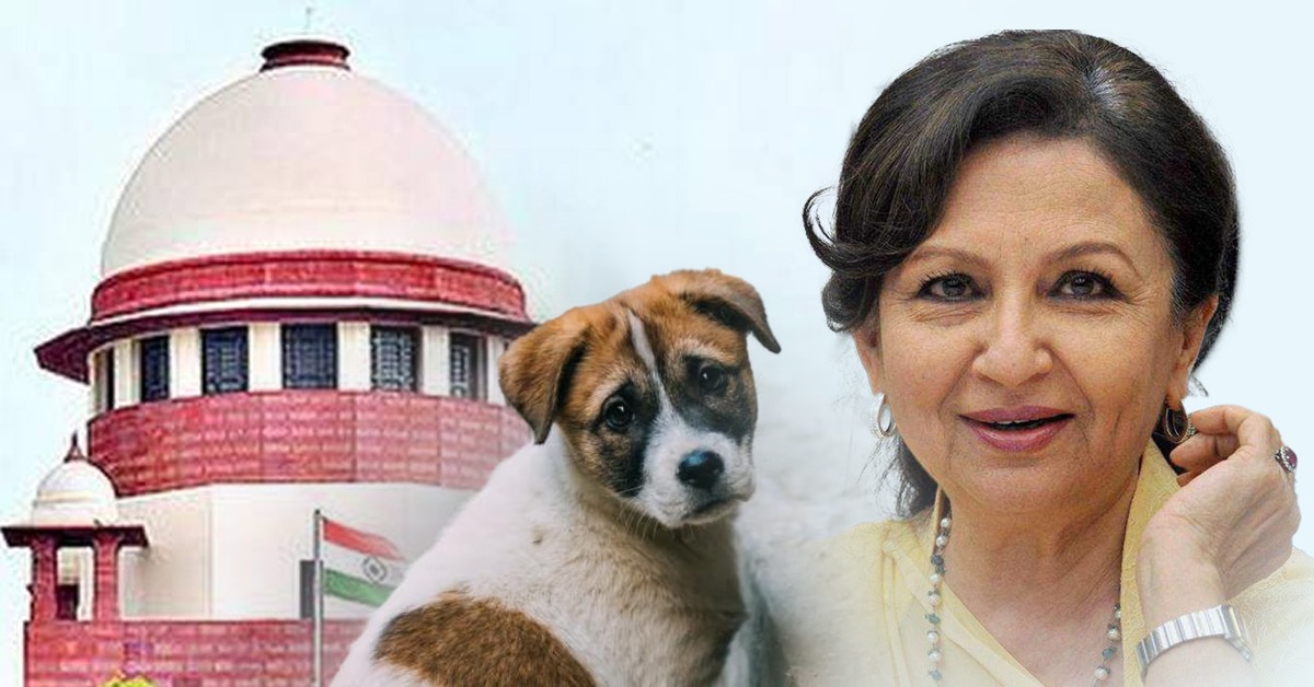 বাস্তব থেকে একেবারে বিচ্ছিন্ন আপনি! শর্মিলাকে ভর্ৎসনা শীর্ষ আদালতের
