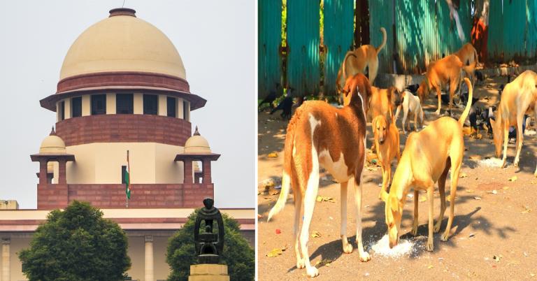 কামড়ালে ক্ষতিপূরণ দিতে হবে রাজ্যকে! পথকুকুর মামলায় সুপ্রিম হুঁশিয়ারি