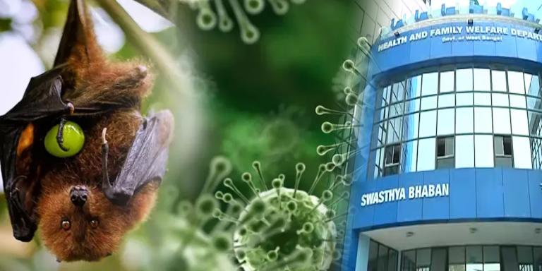 আক্রান্ত উত্তর ২৪ পরগনায় দুই নার্স! নিপা মোকাবিলায় সর্বাত্মক প্রস্তুতি রাজ্য স্বাস্থ্য দফতরের