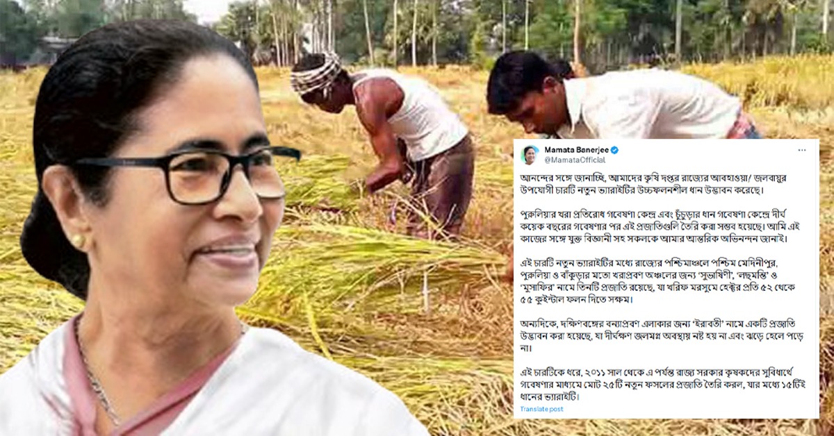 বন্যা-খরাতেও হবে ফলন: রাজ্যের কৃষি গবেষণায় বড় সাফল্যের কথা ঘোষণা মুখ্যমন্ত্রীর