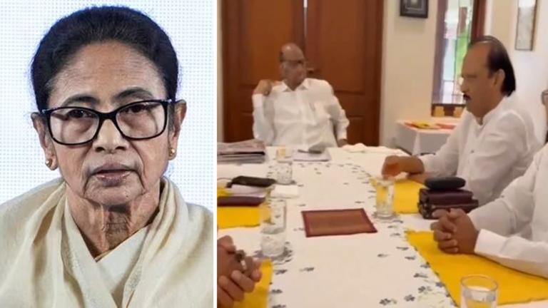 বিজেপি ছাড়তে চেয়েছিলেন অজিত! মমতার দাবিতে শিলমোহর অজিত-শারদ ভিডিওতে