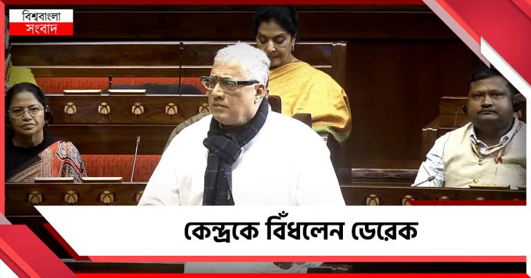 বেকারত্ব থেকে রেল সুরক্ষা! ৯ ইস্যুতে জবাব নেই বাজেটে, পরিসংখ্যান দিয়ে কেন্দ্রকে বিঁধলেন ডেরেক