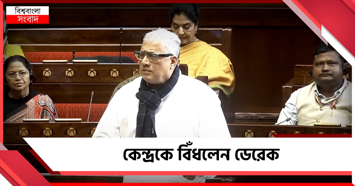 বেকারত্ব থেকে রেল সুরক্ষা! ৯ ইস্যুতে জবাব নেই বাজেটে, পরিসংখ্যান দিয়ে কেন্দ্রকে বিঁধলেন ডেরেক