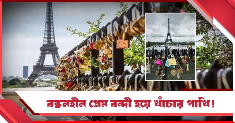 'অমর প্রেম সেতু', উৎপল সিনহার কলম 