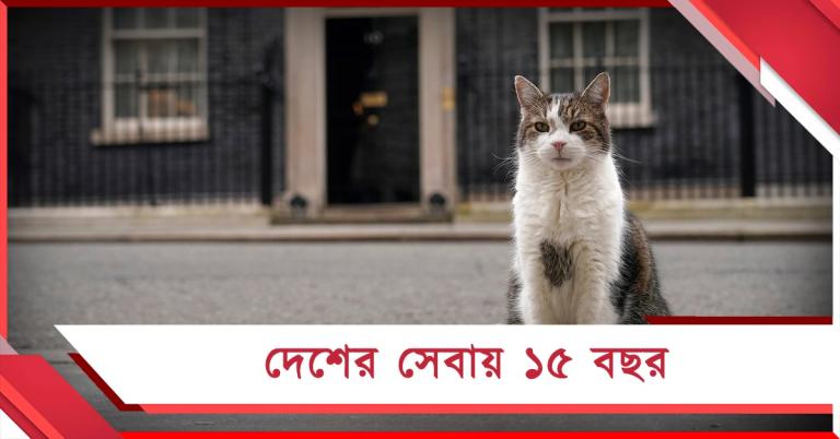 চিফ মাউজার ল্যারি: ইংল্যান্ডে পালিত হল দেশসেবার ১৫ বছর
