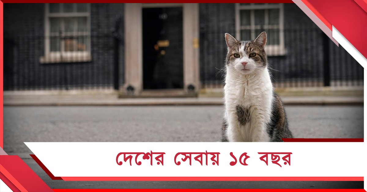 চিফ মাউজার ল্যারি: ইংল্যান্ডে পালিত হল দেশসেবার ১৫ বছর