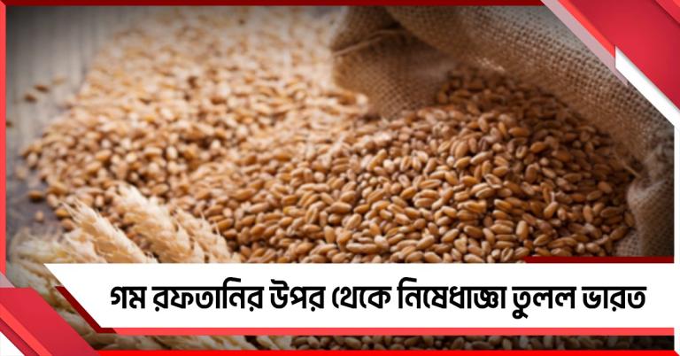 BNP-র বাংলাদেশ জয়ের পরেই সুখবর! গম রফতানির উপর থেকে নিষেধাজ্ঞা তুলল ভারত
