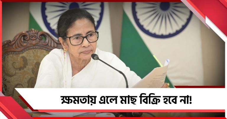 বিহারে খোলা জায়গায় মাংস বিক্রি নিষিদ্ধ! স্কন্ধকাটার রাজনীতি বলে বিজেপিকে কটাক্ষ মুখ্যমন্ত্রীর