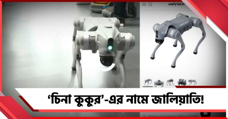 'চিনা কুকুর'-এর নামে জালিয়াতি! দিল্লির AI সামিটে মুখ পুড়ল নয়ডার নামী বিশ্ববিদ্যালয়ের