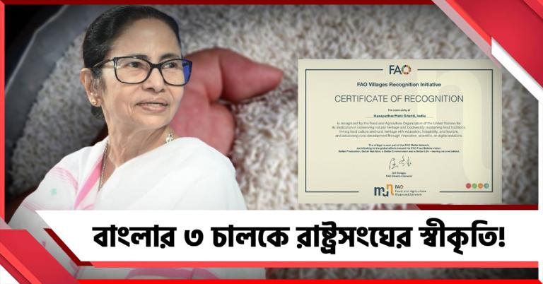 'মাটির সৃষ্টি'-র প্রশংসা, বাংলার ৩ চালকে রাষ্ট্রসংঘের স্বীকৃতি! আপ্লুত মুখ্য়মন্ত্রী