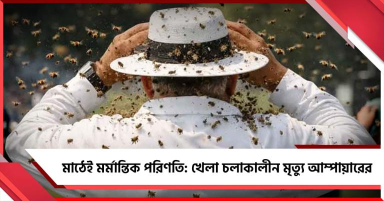 মাঠেই মর্মান্তিক পরিণতি: খেলা চলাকালীন  মৃত্যু আম্পায়ারের, আহত ক্রিকেটাররা