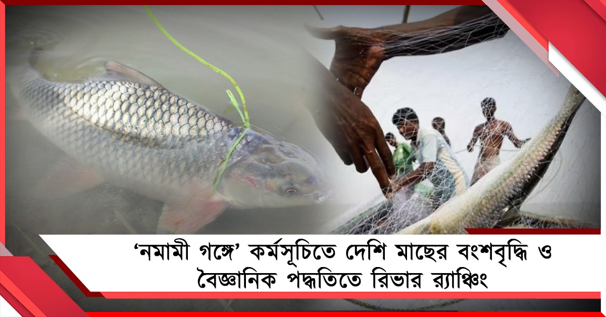 'নমামী গঙ্গে' কর্মসূচিতে দেশি মাছের বংশবৃদ্ধি ও বৈজ্ঞানিক পদ্ধতিতে রিভার র‍্যাঞ্চিং, এগিয়ে বাংলা