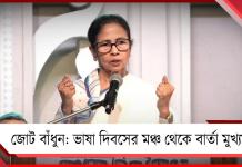 বাংলার অস্মিতা রক্ষায় জোট বাঁধুন: ভাষা দিবসের মঞ্চ থেকে দুর্যোধন-দুঃশাসনকে বার্তা মুখ্যমন্ত্রীর