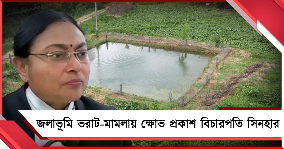 জলাভূমি ভরাট-মামলায় ক্ষোভ প্রকাশ বিচারপতি সিনহার, কেন্দ্রীয় মন্ত্রককে যুক্ত করার নির্দেশ