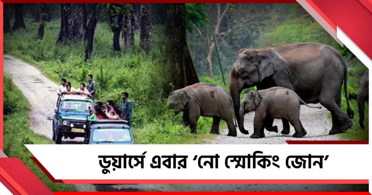 আগুন রুখতে কড়া বনদফতর! ডুয়ার্সের ৯ কিমি রাস্তা এবার ‘নো স্মোকিং জোন’