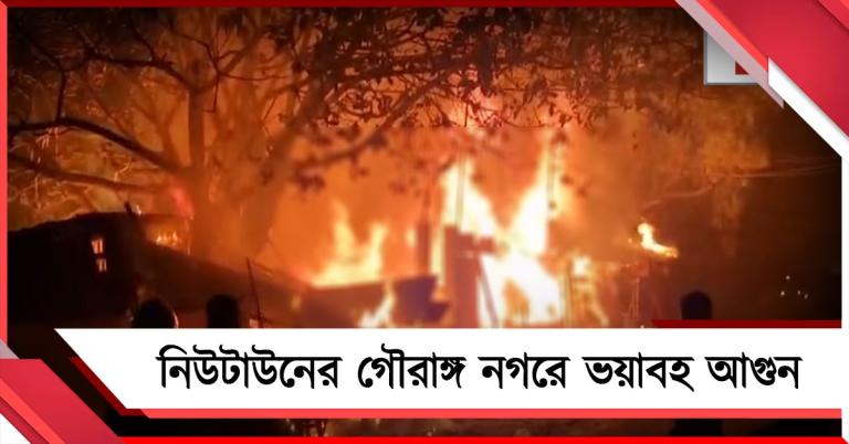 নিউটাউনের গৌরাঙ্গ নগরে ভয়াবহ আগুন, পুড়ে ছাই একাধিক দোকান!