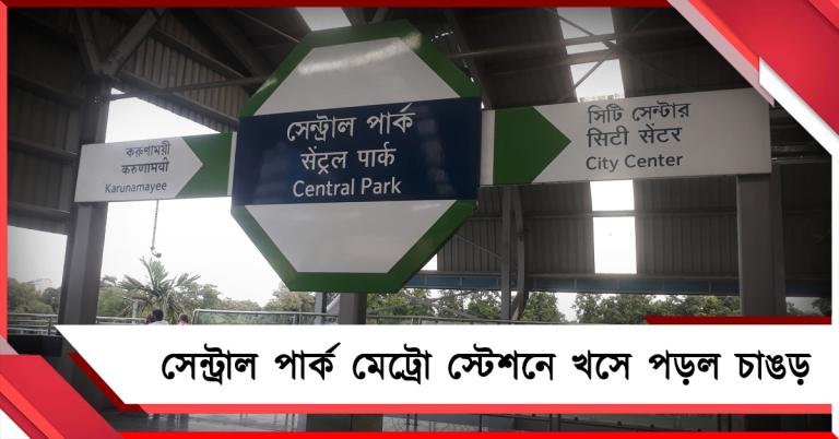 খসে পড়ল সেন্ট্রাল পার্কে মেট্রোর চাঙড় : ভূমিকম্পের ফল!