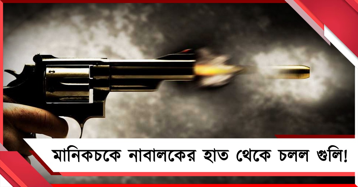 নাবালকের হাত থেকে চলল গুলি! মানিকচকে আহত ৩