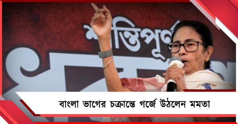 বাংলা ভাগের চক্রান্ত রুখবই! ধর্না মঞ্চ থেকে মমতার হুঁশিয়ারি