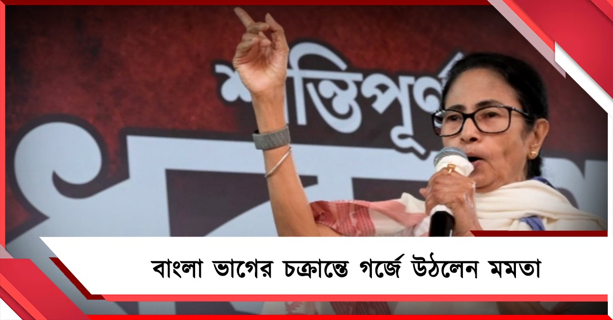 বাংলা ভাগের চক্রান্ত রুখবই! ধর্না মঞ্চ থেকে মমতার হুঁশিয়ারি
