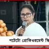 আলু চাষিদের পাশে রাজ্য, সরাসরি আলু কেনার ঘোষণা মুখ্যমন্ত্রী মমতা বন্দ্যোপাধ্যায়ের