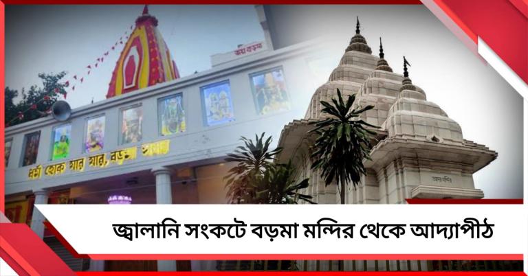 জ্বালানি সংকটে ভক্তদের অন্নসেবা বন্ধ বড়মা মন্দিরে, আদ্যাপীঠে বিকল্প ব্যবস্থা