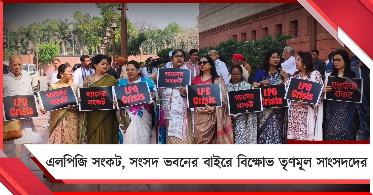 দেশজুড়ে এলপিজি সংকট, কেন্দ্রের দিকে আঙ্গুল তুলে সংসদ ভবনের বাইরে ধর্নায় তৃণমূল