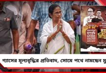 জ্বালানি গ্যাস নিয়ে কেন্দ্রের হঠকারিতা: সোমে পথে মমতা-অভিষেক