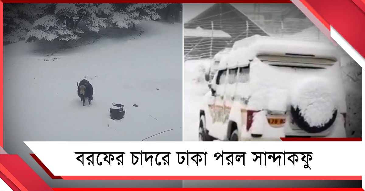 বরফের চাদরে ঢাকা পরল সান্দাকফু, উত্তরে লাগাতার তুষারপাতে আতঙ্কিত পর্যটকরা