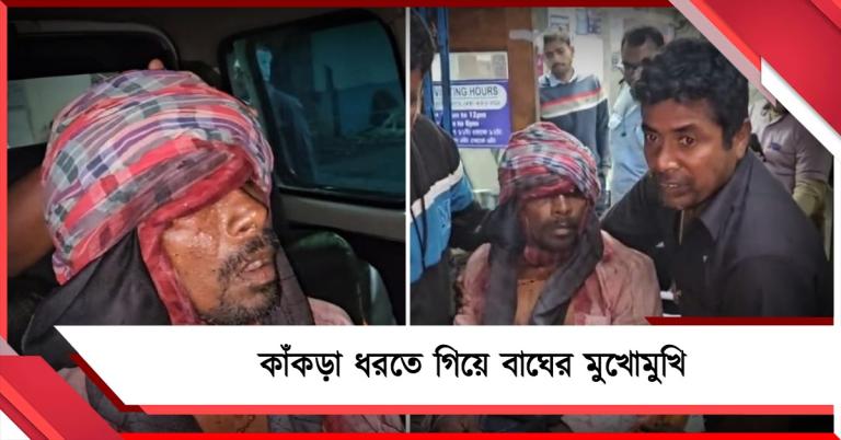 কাঁকড়া ধরতে গিয়ে বাঘের মুখোমুখি, সঙ্গীদের তৎপরতায় প্রাণে বাঁচলেন সুন্দরবনের মৎস্যজীবী