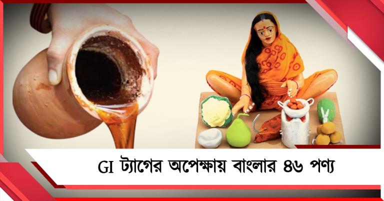 নলেন গুড় থেকে কৃষ্ণনগরের মাটির পুতুল: GI ট্যাগের অপেক্ষায় বাংলার ৪৬ পণ্য