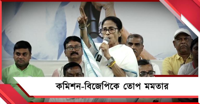 হ্যাকিং না বজ্জাতি? ‘দুই ভাই’ শুধু চক্রান্ত করে, নকশালবাড়ি থেকে কমিশন-বিজেপিকে তোপ মমতার 