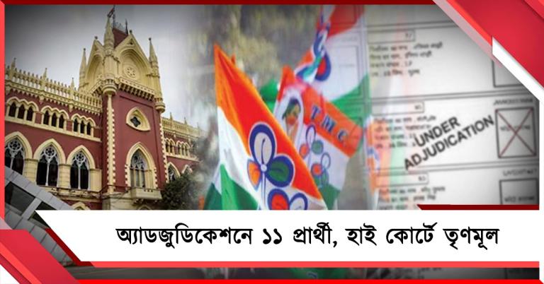 অ্যাডজুডিকেশনে ১১ প্রার্থী: হাই কোর্টে দ্রুত নিষ্পত্তির আর্জি তৃণমূলের
