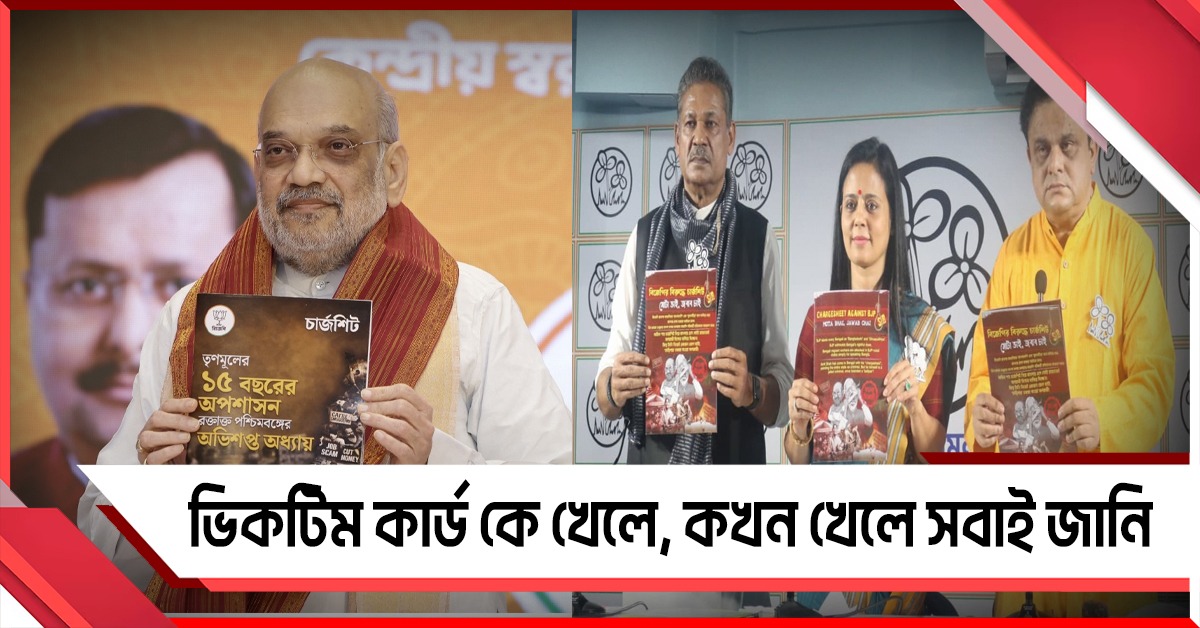 অনুপ্রবেশ থেকে এসআইআর - পাল্টা চার্জশিট: শাহকে ধুইয়ে দিল তৃণমূল