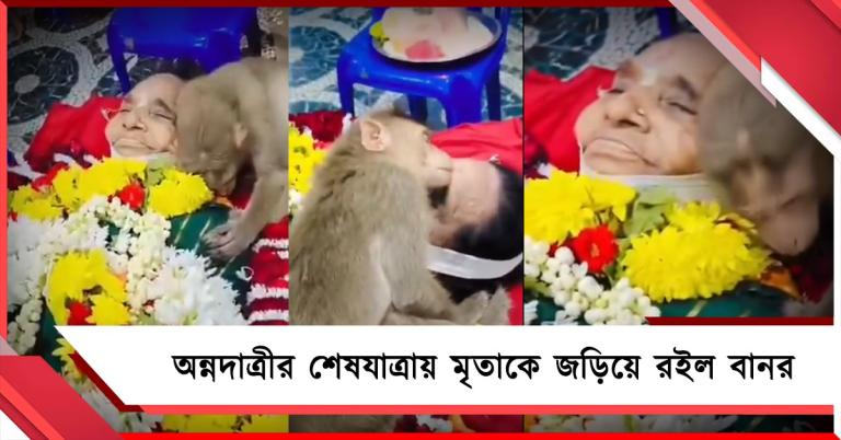 অন্নদাত্রীর শেষযাত্রায় মৃতাকে জড়িয়ে রইল বানর, চোখ ভিজলো নেটপাড়ার