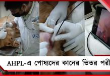 পূর্ব ভারতে প্রথম উচ্চ-ক্ষমতা সম্পন্ন ক্যামেরায় পোষ্যদের কানের ভিতর পরীক্ষা AHPL-এ
