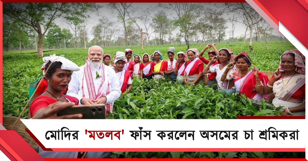 নিজের ‘মতলবের’ জন্য এসেছিলেন: অসমে মোদির চা-পাতা তোলার পর্দাফাঁস অসমের মহিলাদের