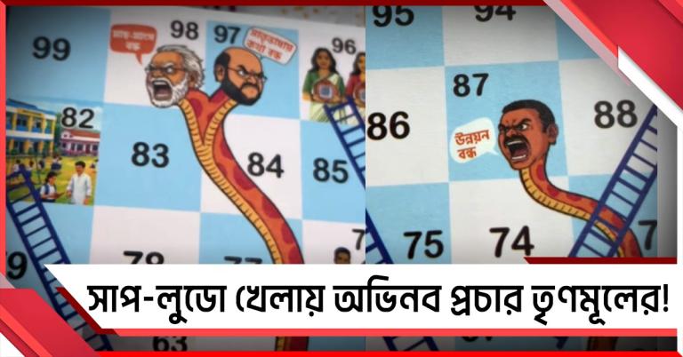 উন্নয়ন কার্ডে 'সাপ বিজেপি'! সাপ-লুডোর খেলায় অভিনব প্রচার তৃণমূলের