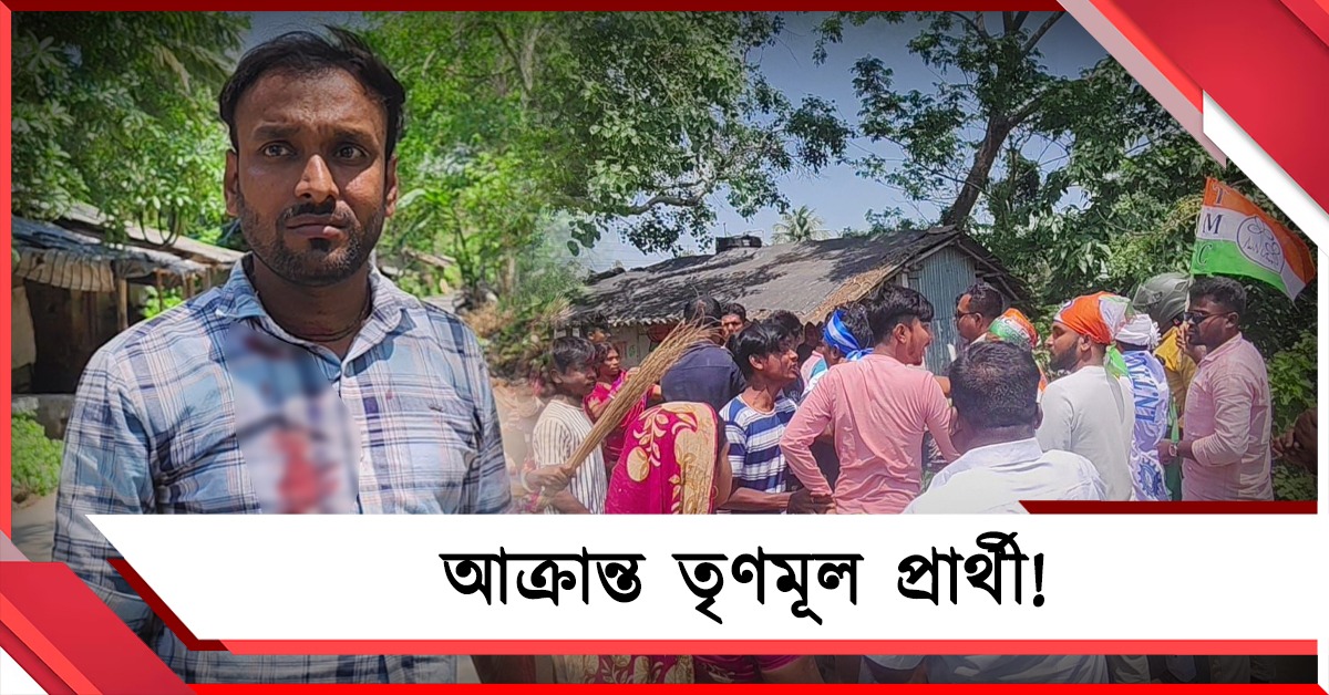 প্রচারে বেরিয়ে বাকচায় আক্রান্ত তৃণমূল প্রার্থী! বিজেপির বিরুদ্ধে হামলার অভিযোগ 
