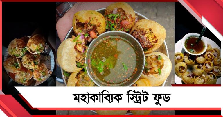 'মহাকাব্যিক স্ট্রিট ফুড', উৎপল সিনহার কলম