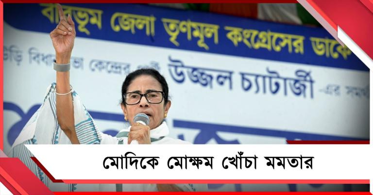 “উনি ২৯৪টি আসনের প্রার্থী! প্রধানমন্ত্রী হবেন না বাংলার মুখ্যমন্ত্রী?” মোদিকে মোক্ষম খোঁচা তৃণমূল সুপ্রিমোর