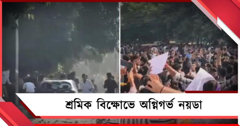 গাড়ি ভাঙচুর, পুলিশকে লক্ষ্য করে পাথরবৃষ্টি! শ্রমিক বিক্ষোভে অগ্নিগর্ভ নয়ডা
