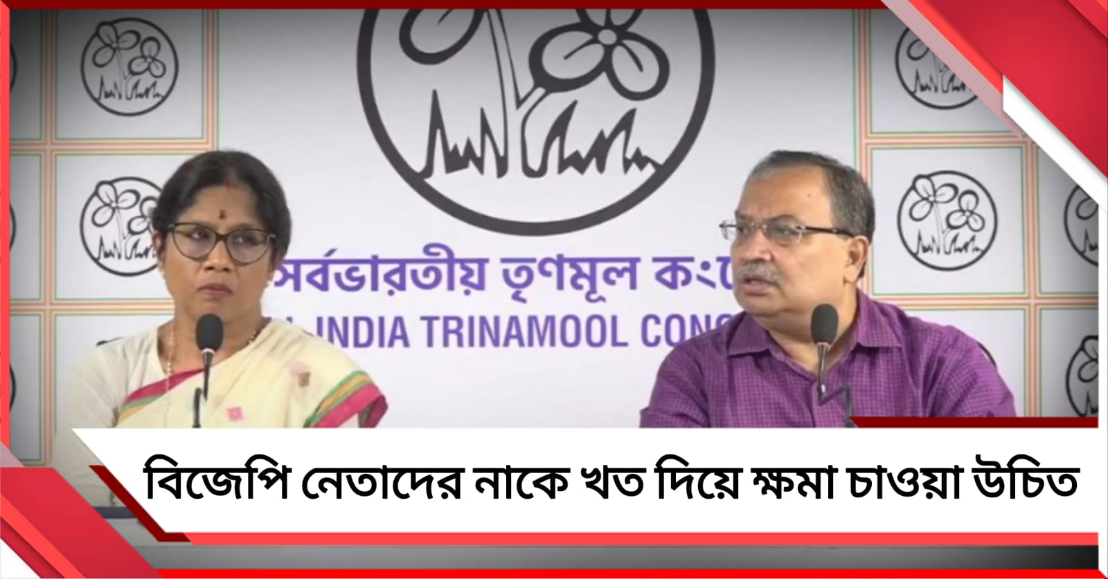 দেশের মনীষীদের অপমান বিজেপি নেতাদের! শাহর গুণ্ডামির ভাষাকে তীব্র কটাক্ষ তৃণমূলের