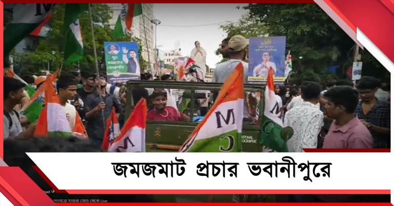 ভবানীপুরে তৃণমূলের শক্তিপ্রদর্শন, মিছিলে জনজোয়ার