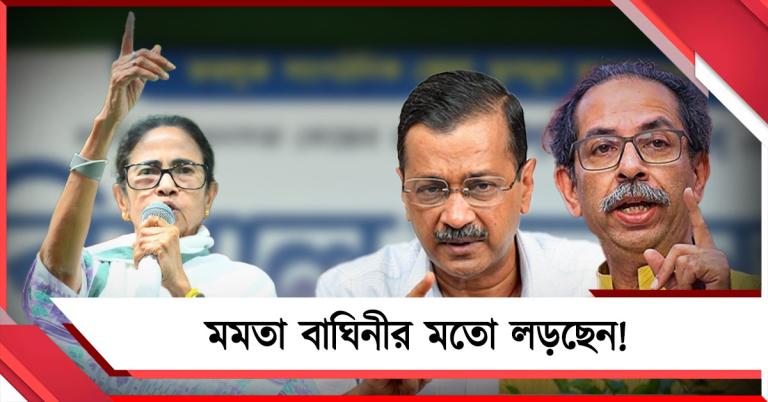 গণতন্ত্র রক্ষায় কঠিন লড়াই, বাঘিনীর মতো লড়ছেন মমতা: তৃণমূল সভানেত্রীকে পূর্ণ সমর্থন কেজরি-উদ্ধবের